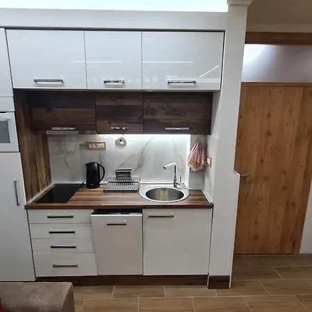 Apartament Suncana Planina - Wellness & - - Sunny Mountain Kopaonik