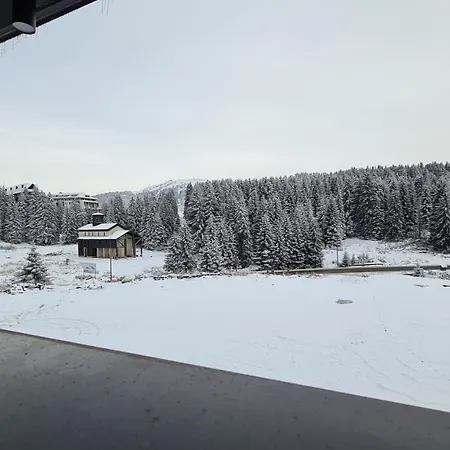 Suncana Planina - Wellness & - - Sunny Mountain * Kopaonik